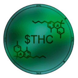 The High Community 