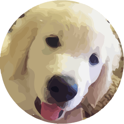 AlgoDoggo