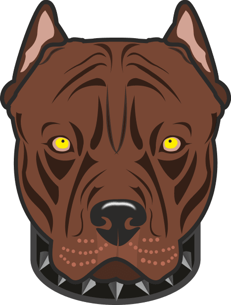 Dossa Coin