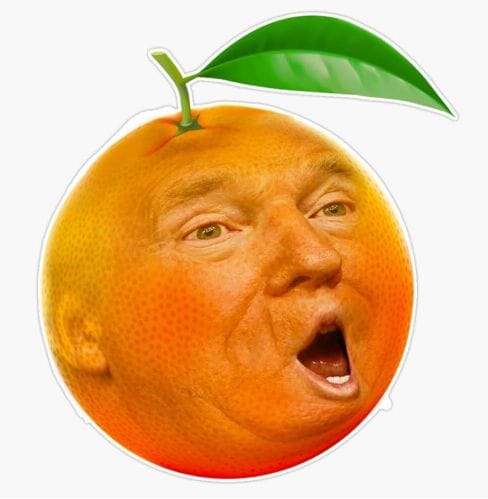 Orange Swan Event