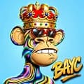 BAYC